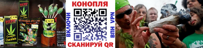 магазин продажи наркотиков  Сургут  Canna-Cookies конопля 