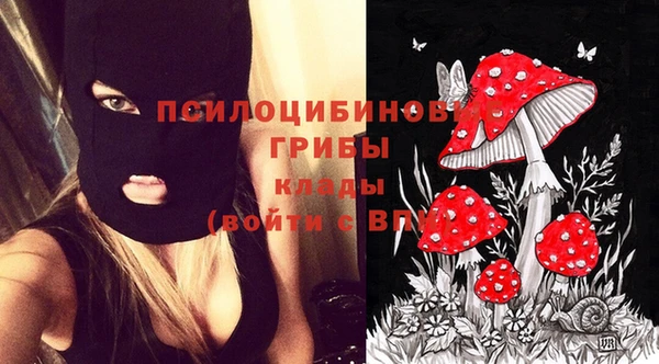 PSILOCYBIN Алзамай