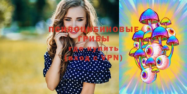 mdpv Алексин