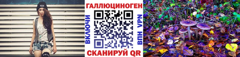 сколько стоит Сургут Галлюциногенные грибы Psilocybine cubensis
